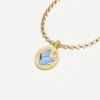 Farfalla blu