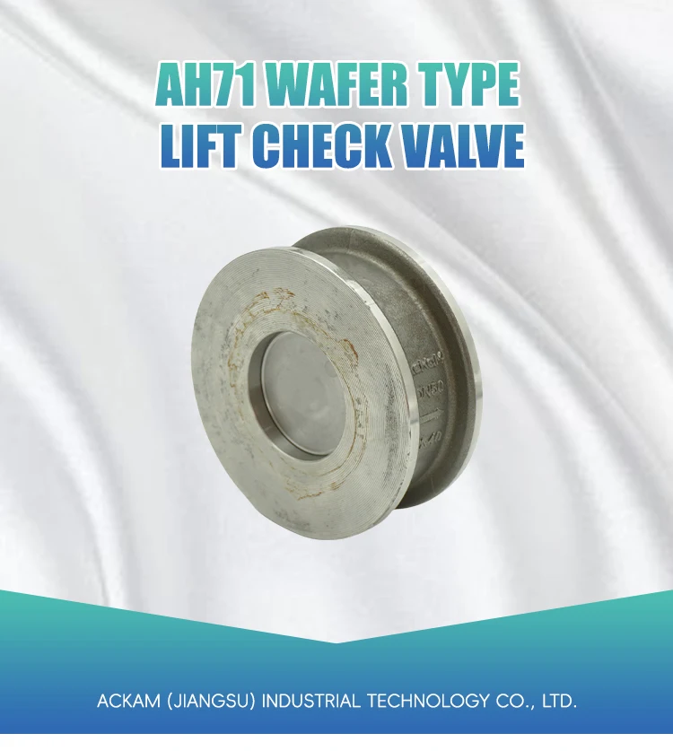 Sealing Prevents Backflow of Media Check Valve Wear-Resistant Easy to Disassemble Wafer Check Valve manufacture