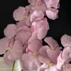 10-head display pattern phalaenopsis orchid-pink-1 stem