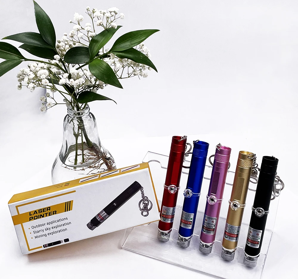 Portable 501USB Mini Handheld USB Interface Green Red Laser Pointer with Keychain