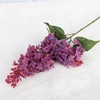 Rosso viola