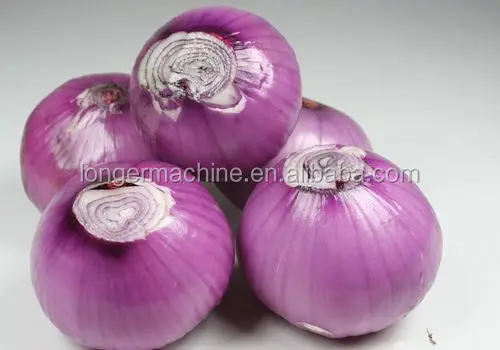 Zyliss Onion Peeler - Purple/White 1 ct