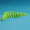 anguila moro