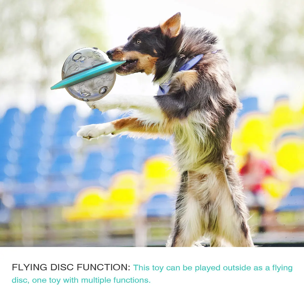 Popular Pet Interactive Treat Dispensing Dog Slow Feeder Outdoor Dog Toy Flying Disc Transparent