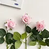 Rosa claro