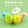 Pollito de cuerda (colores mezclados al azar)
