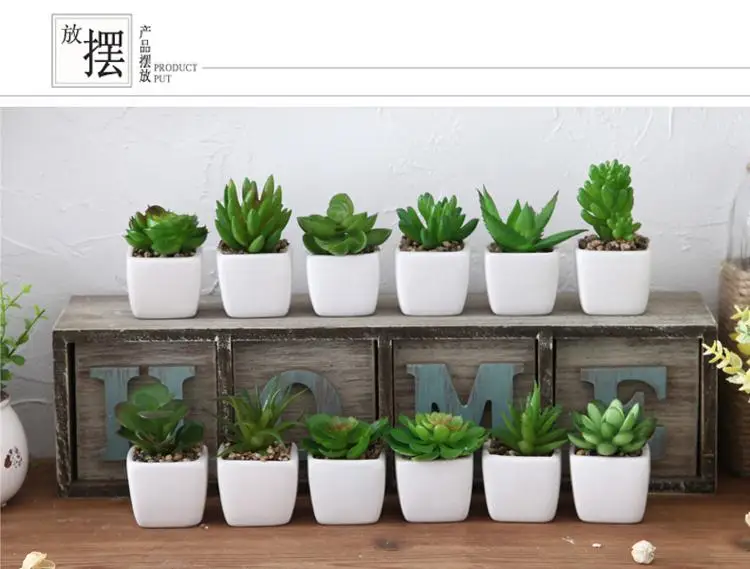 succulent bowl ideas Gift Idea- Cactus and Succulent Bowl, Low-Maintenance Gift – Jungle Joy  Plants and Co