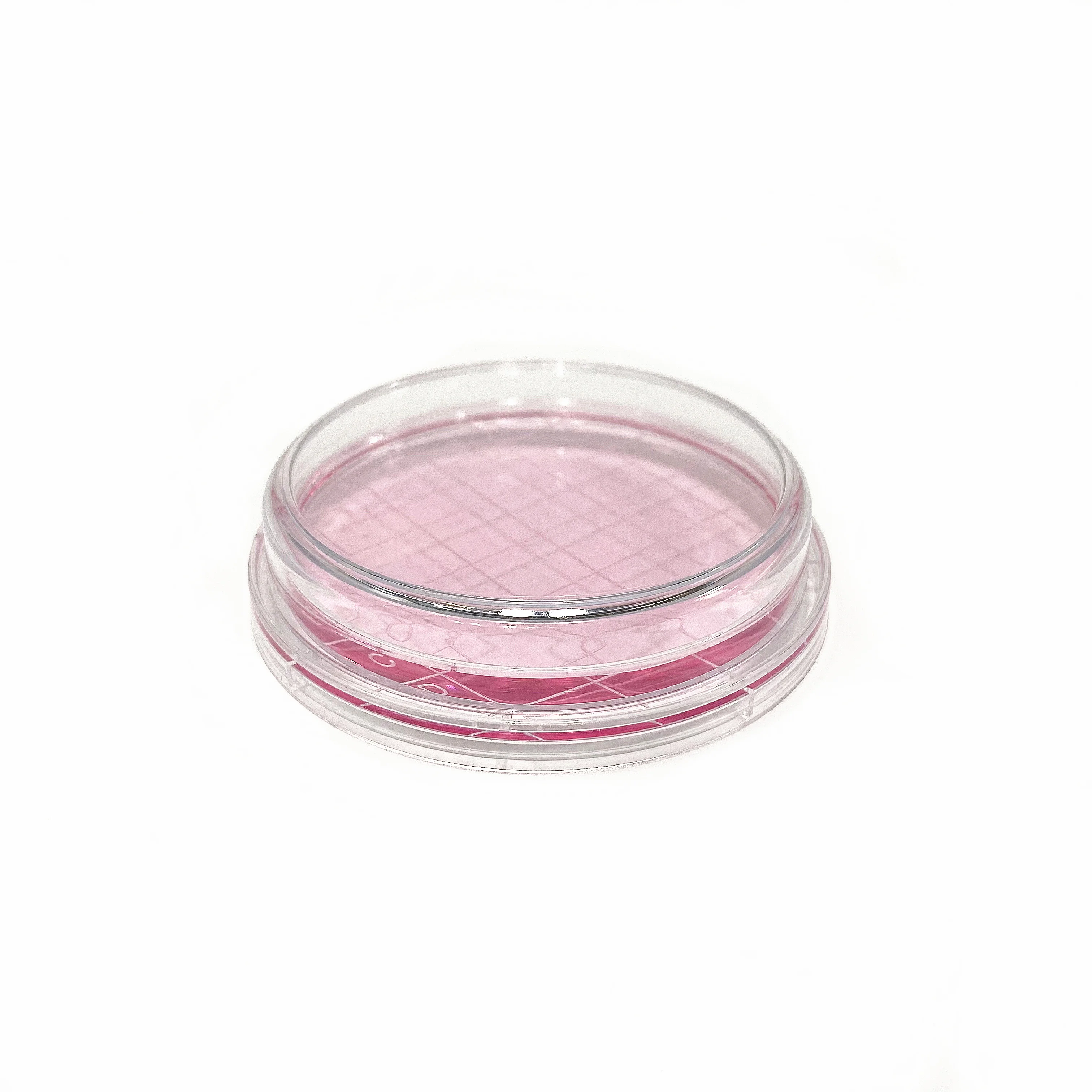 Laboratory Plastic Petri Dishes 75mm In Petri Dish Stand Holder Agar