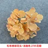 Cabeza y tallo de flor de hortensia de lana - marrón claro