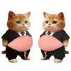 Par de trajes de gato