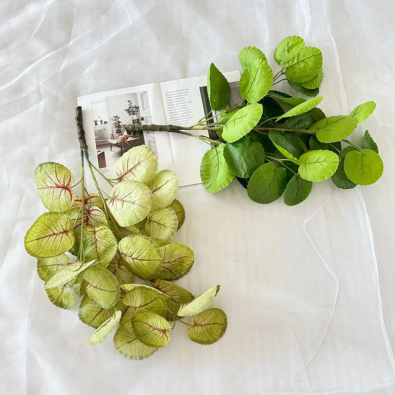Skep verblufsende rangskikkings met lange steel valse hydrangeas