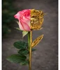ตามภาพ