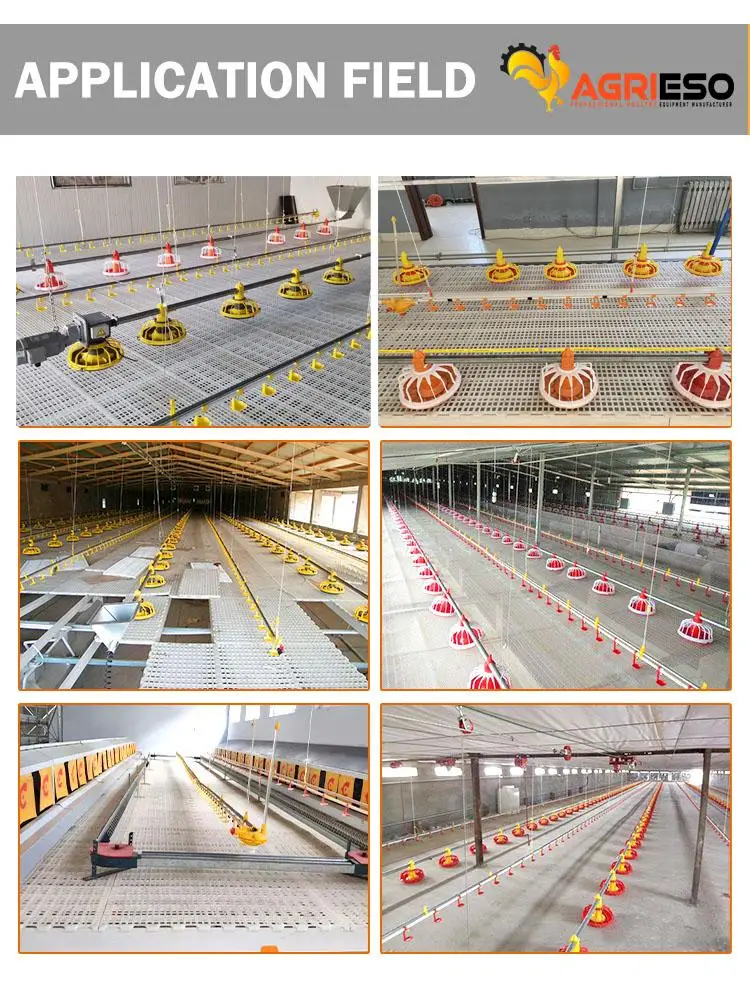 Complete Poultry Project /poultry Farm Equipment For Sale Buy Poultry