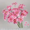 Magnolia de 3 cabezas rosa intenso (paquete de 10 piezas)
