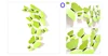 Green 1