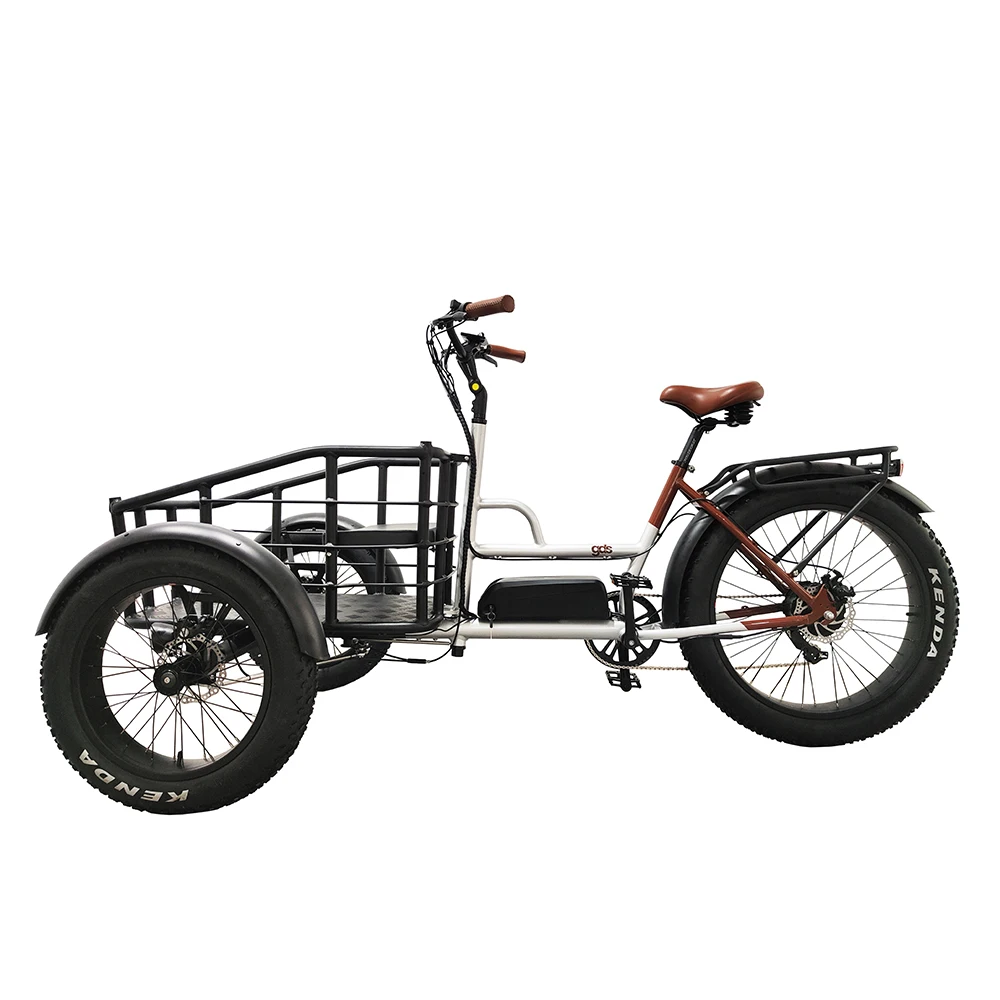 New Design 3 Wheel Electric Bicycle Three Wheels Adult Cargo Electric