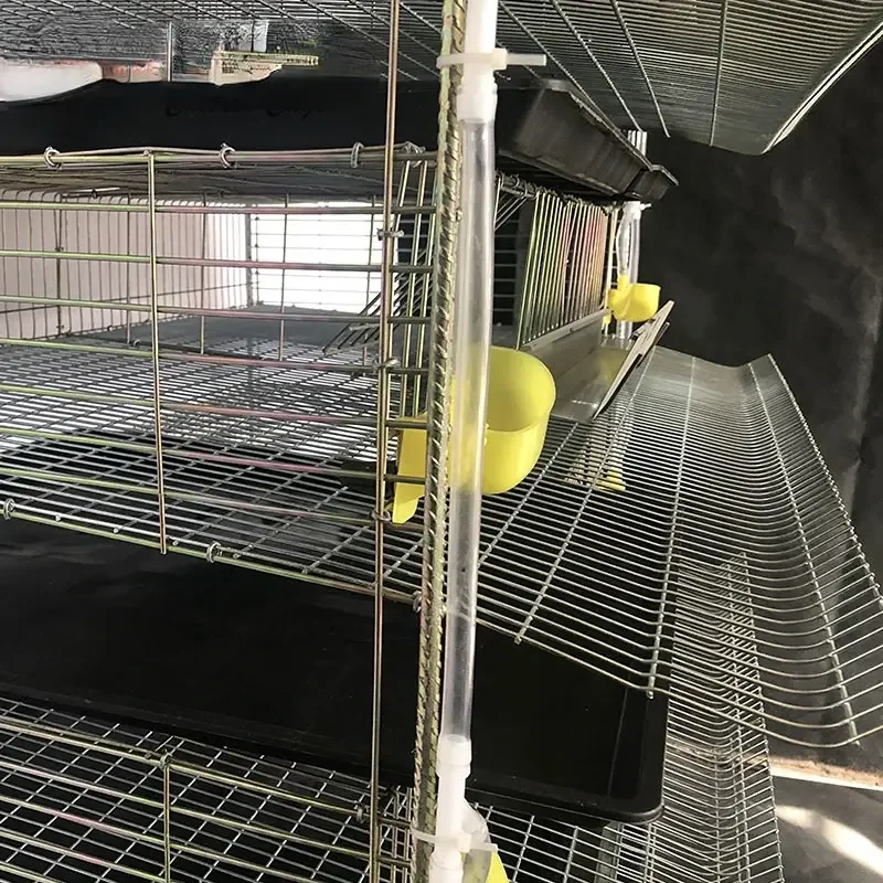 Poultry Quail Layer Cages for Quail Birds Farming Cage for Quail Hens for Egg Production