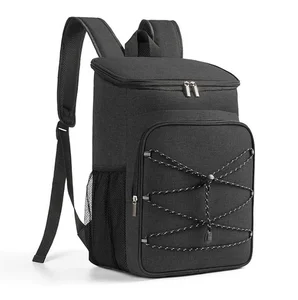 Large Portable Cooler Bag Custom Logo New Design Insulated Thermal PEVA Lining Cheap Polyester Material for Food Packing Travel