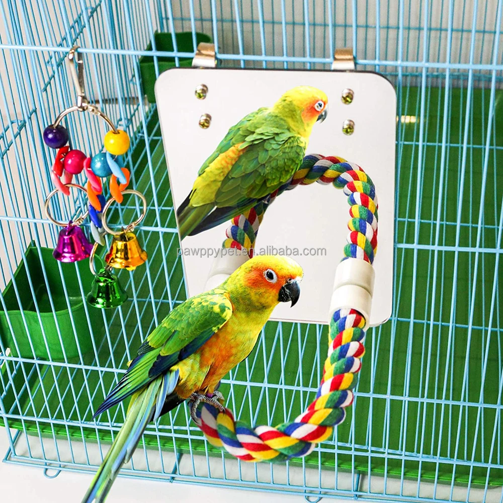 Bird Toys Swing Comfy Perch for Greys s Parakeet Cockatiel Conure Lovebirds Finch Canaries Colorday Large Stainless Steel Bird Mirror with Rope Perch 