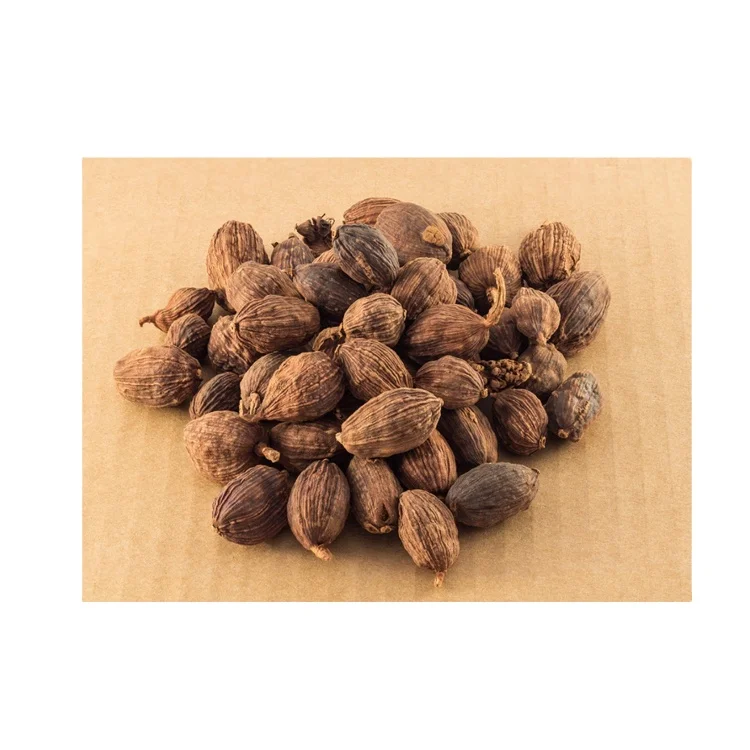 wholesale customized good quality nutmeg spice nutmeg india