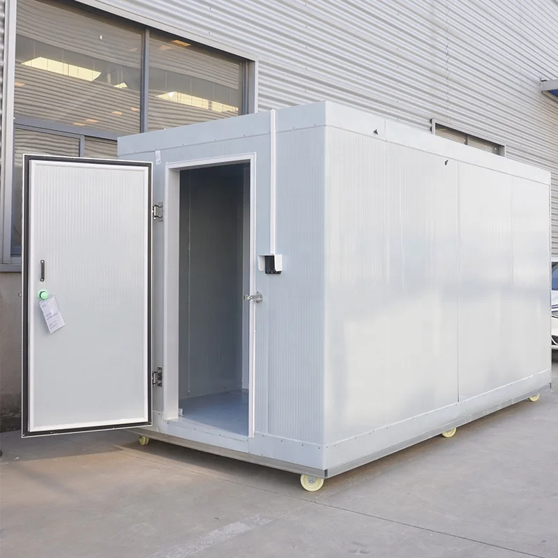 Customized Walk-In Cold Room Freezer Easy Disassembly Storage Equipment with Compressor for Farm Refrigeration