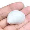 White Jade Snail
