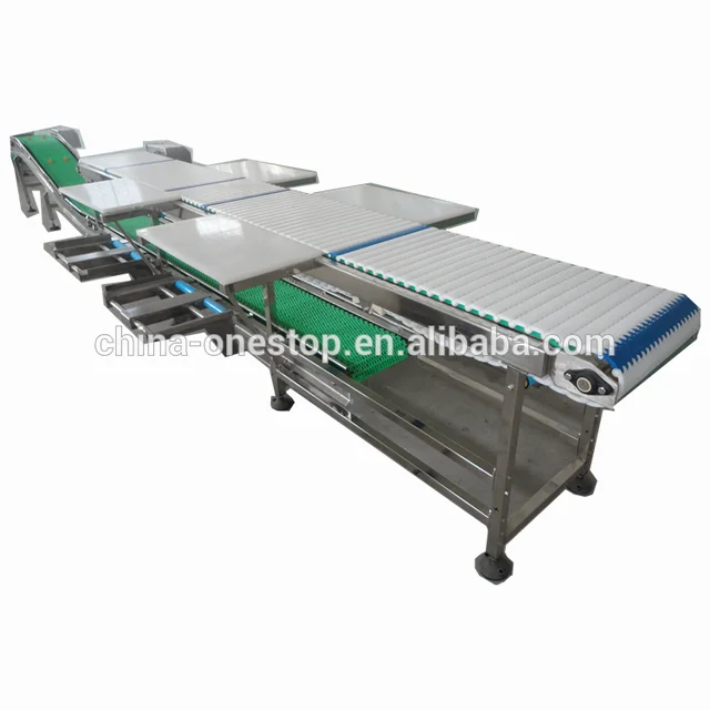 Conveyor belt for deboning and cutting beef in meat processing plant
