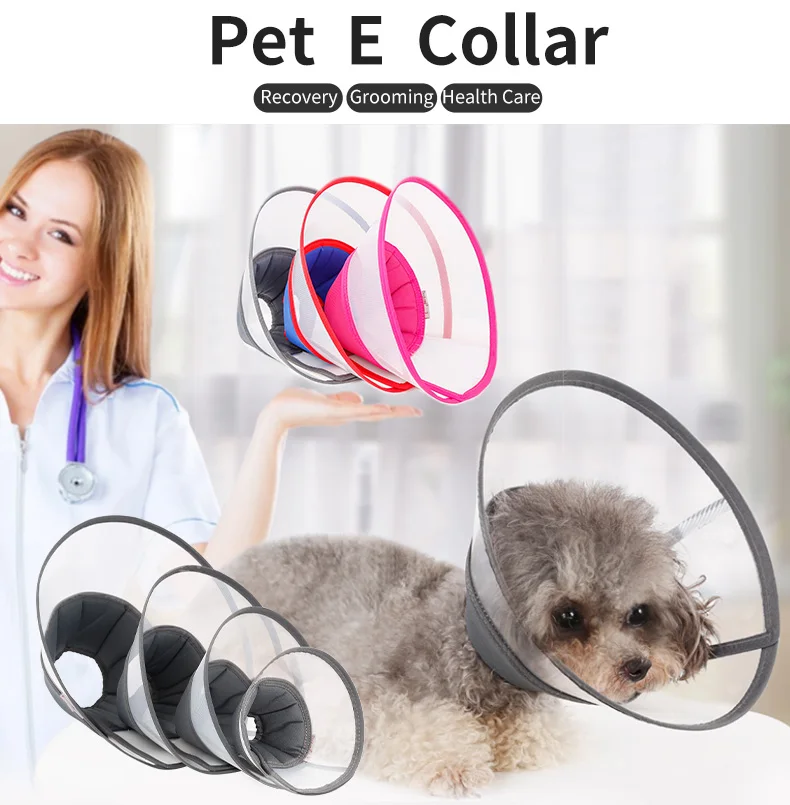 extra long e collar