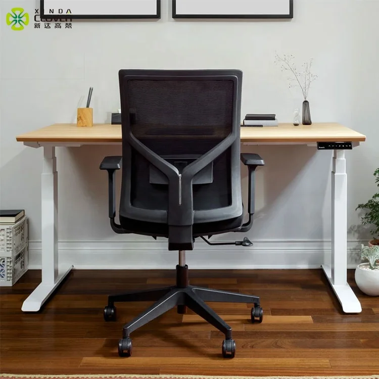 Dual Motorized Double Motor Study Table Sit Stand Ergonomic Electric Height Adjustable Modern Office Desk - Image 2