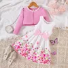 Rosa 3380267