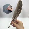 normal size nib