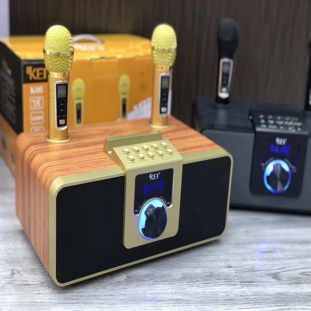 Wholesale 30w Subwoofer Speaker With Double Microphones Home Party Ktv