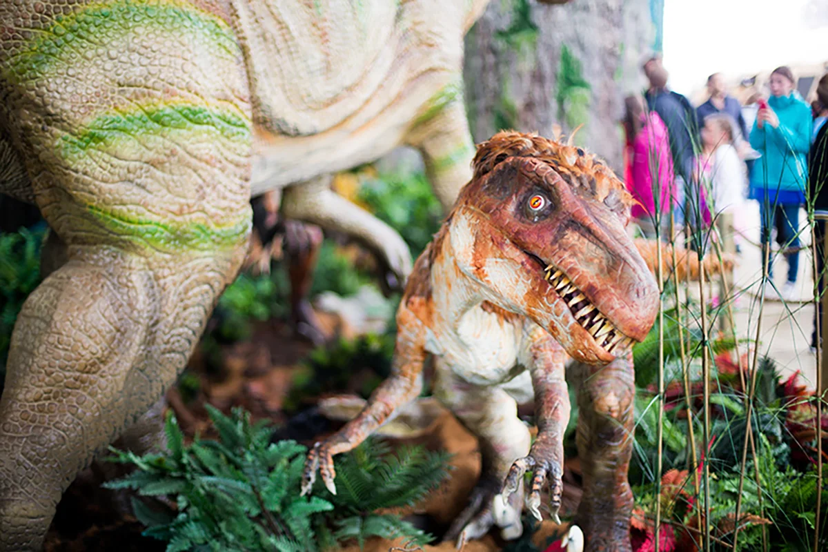 Simulation Apatosaurus Model 2024 Life-size Popular Handmade Hot Sale Customized Dinosaur Park