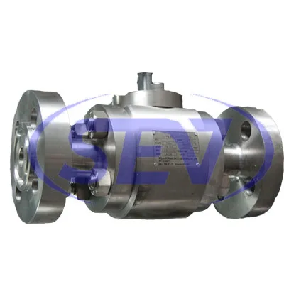 Stainless Steel Floating Ball Valve