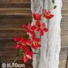 Orchidea rossa a stelo singolo