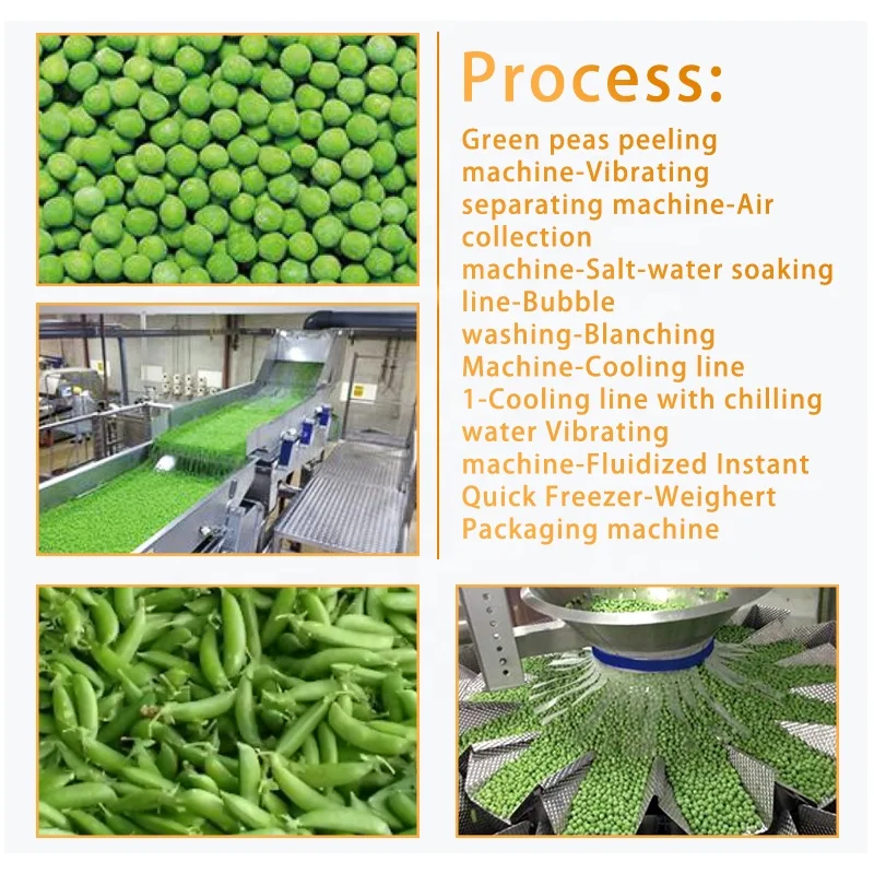 TCA  Automatic Vegetable and Fruit IQF Freezing Line Frozen Sweet Corn and Green Peas Production Line