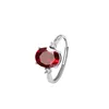 JH0451-5Garnet