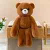 Little bear