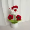 Bonsaï du Père Noël