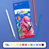 Hb - crayons de couleur 12 couleurs