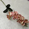 8 #