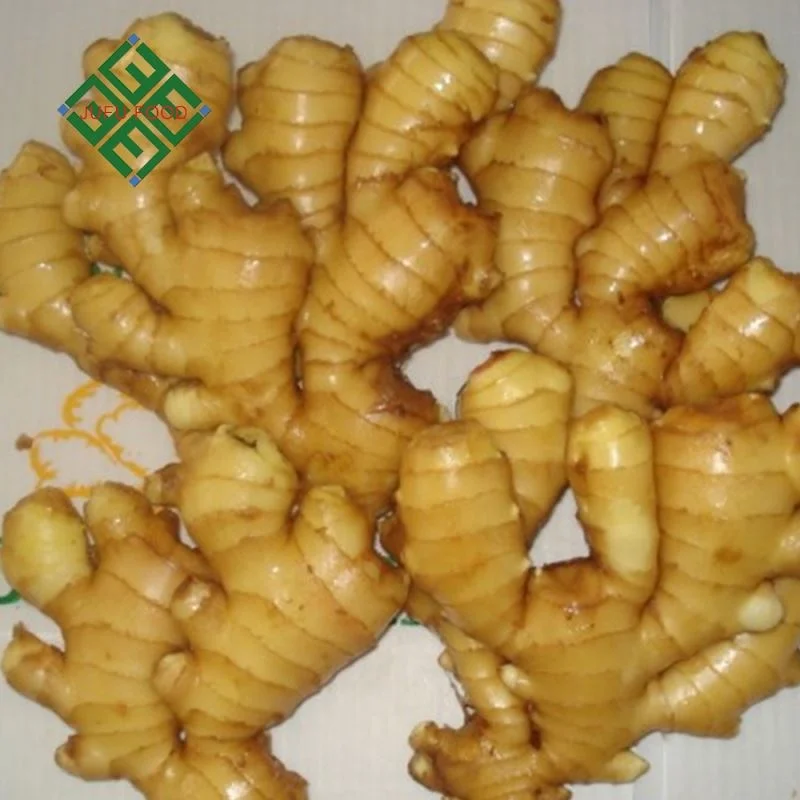 Carton Package Ginger Varieties of Fresh Ginger
