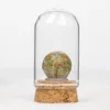 unakite tumbled stone