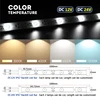 สีขาว