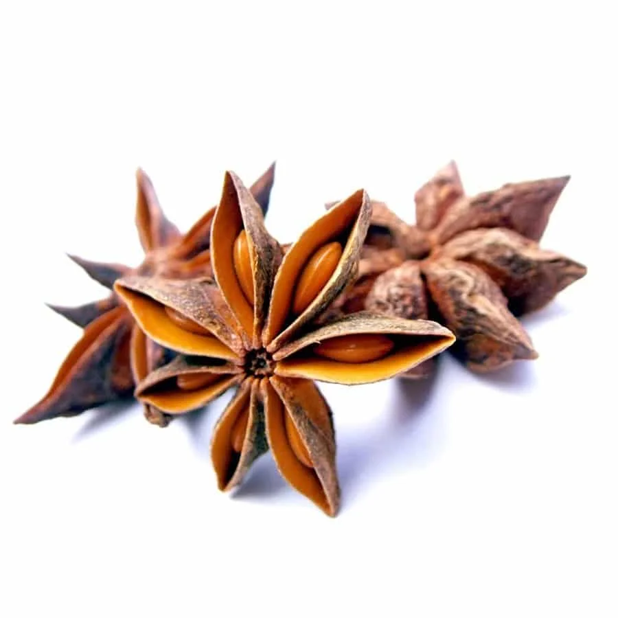 Supplier Dried Star Anise Natura From Vietnam/ Flavor For Meal/ Ms. Lucy  (+84 904 183 651) - Buy Fennel Tea,Natural Anise Oil For Sale,Fennel Seeds  In Tamil Product on 