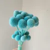 Nylon blue