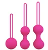 Conjunto Rosa