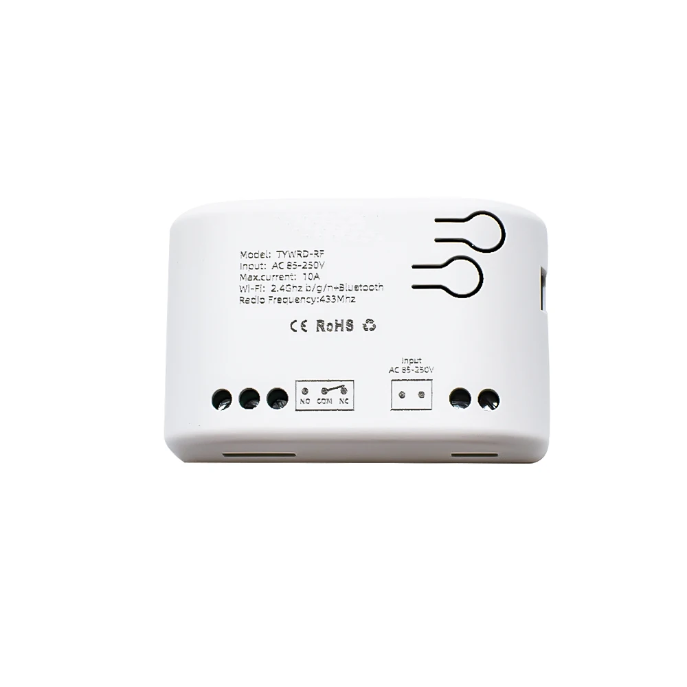 Tuya Mini Switch 2 Channels Smart WiFi and RF433 with Remote Control