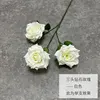 Diamante a tre teste rosa-bianco