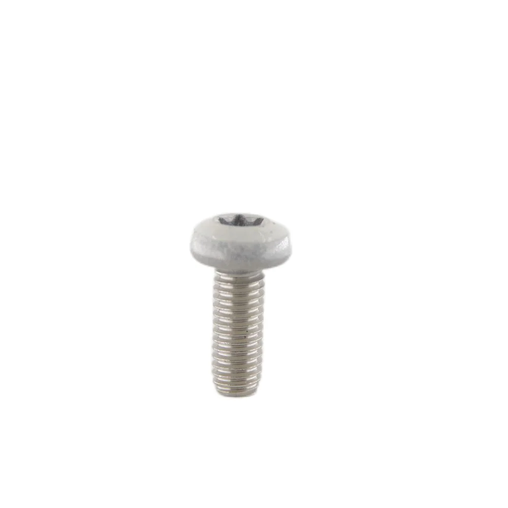 Six-Lobe Flat Head White Painting Screw Stainless Steel Hex Hidden Camera Wall Torx Screw Bolts supplier